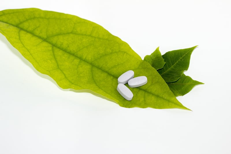 Homeopathy Treatments